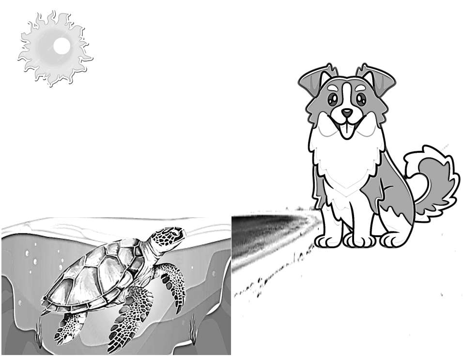 puzzle z żółwiem i psem puzzle online