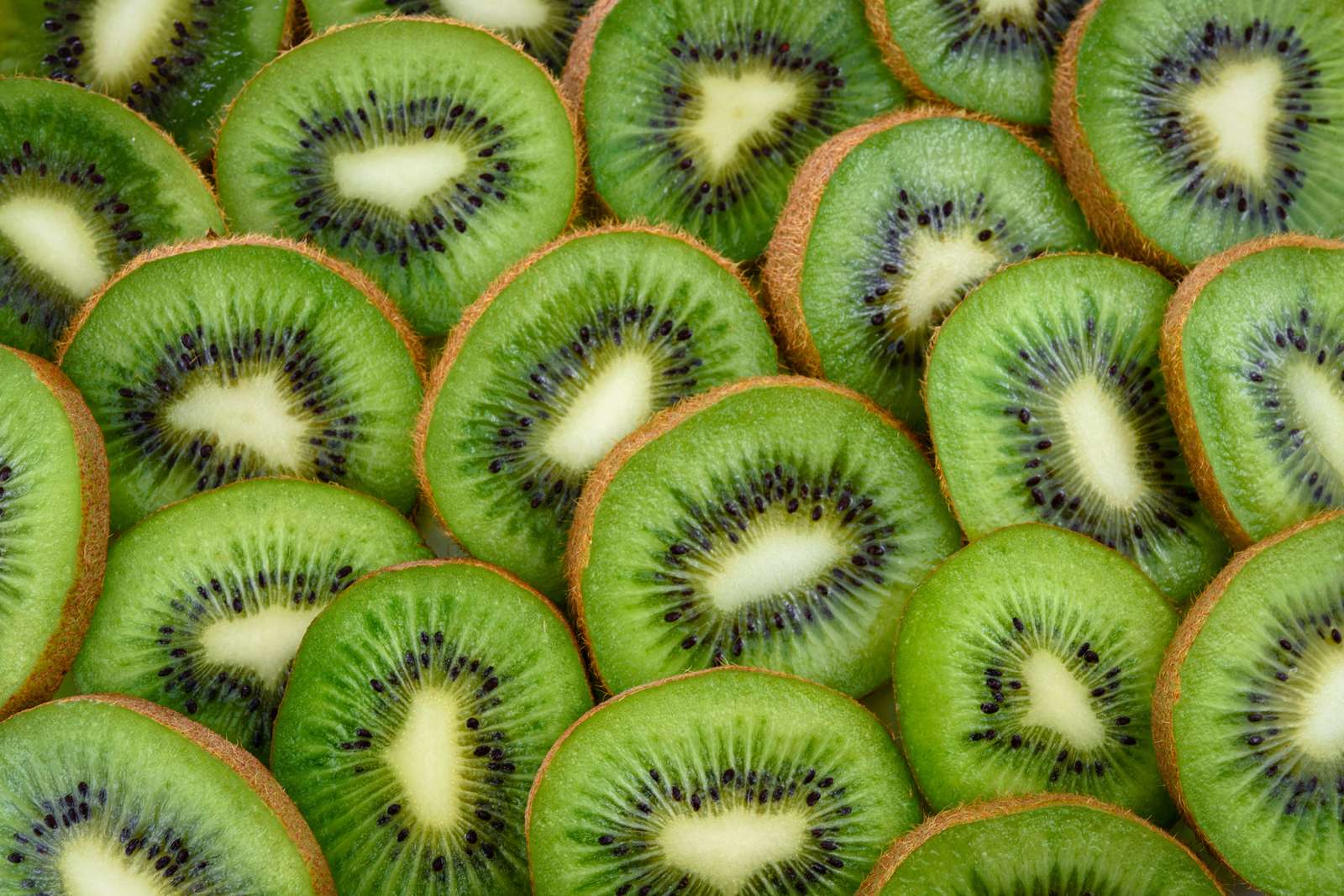 KIWI puzzle online