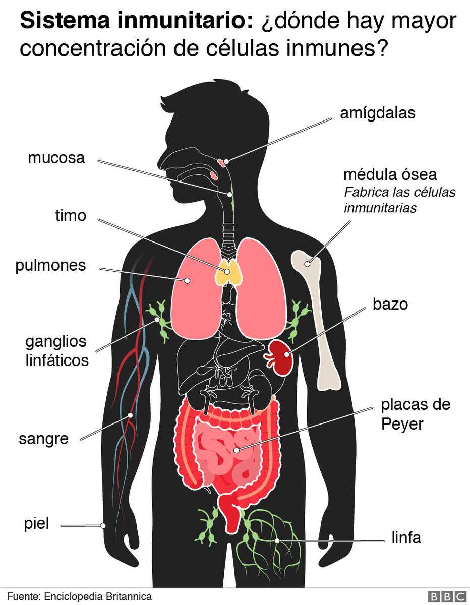 Spróbuj puzzle online