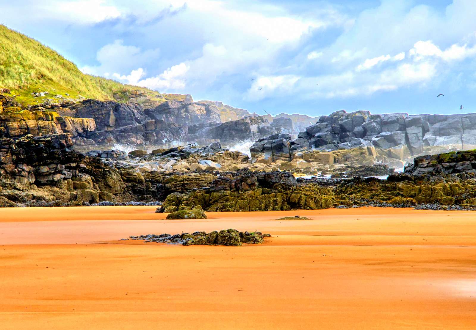Plaża Newburgh w Szkocji puzzle online