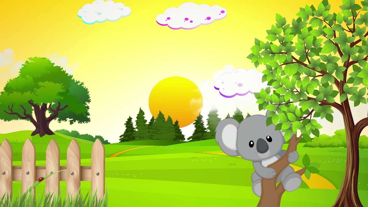 koala w słońcu puzzle online