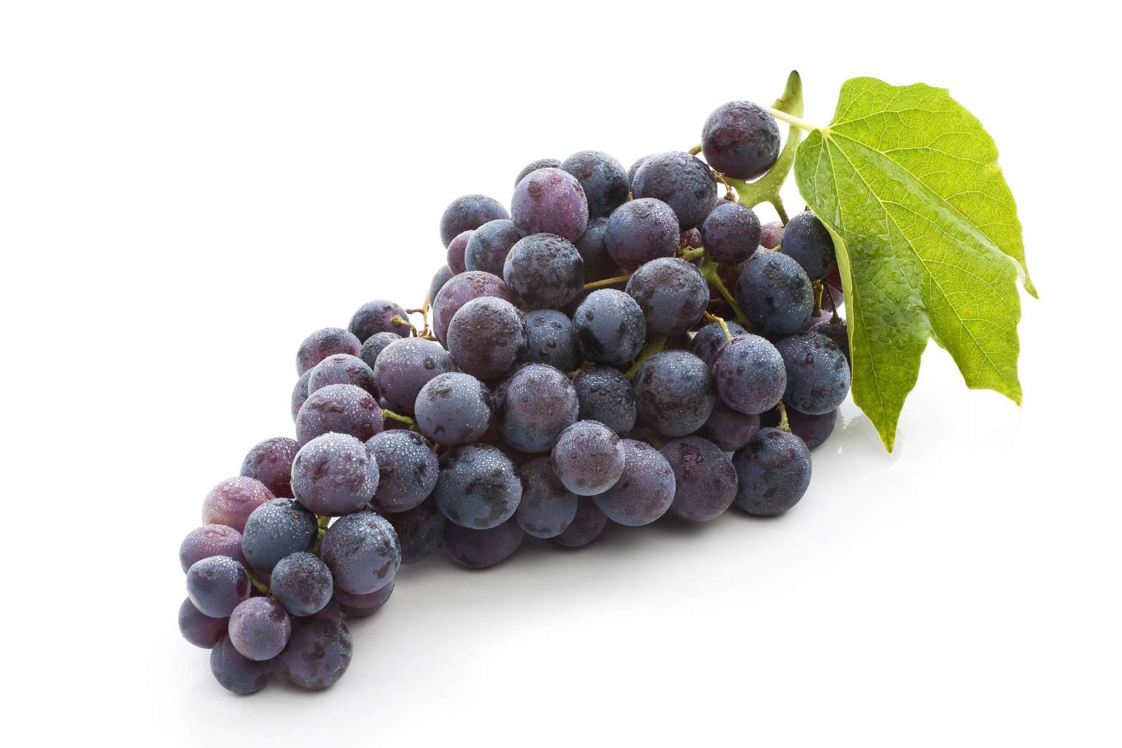 fioletowe winogrona pieprzą ostię, kurwa, yaaa puzzle online