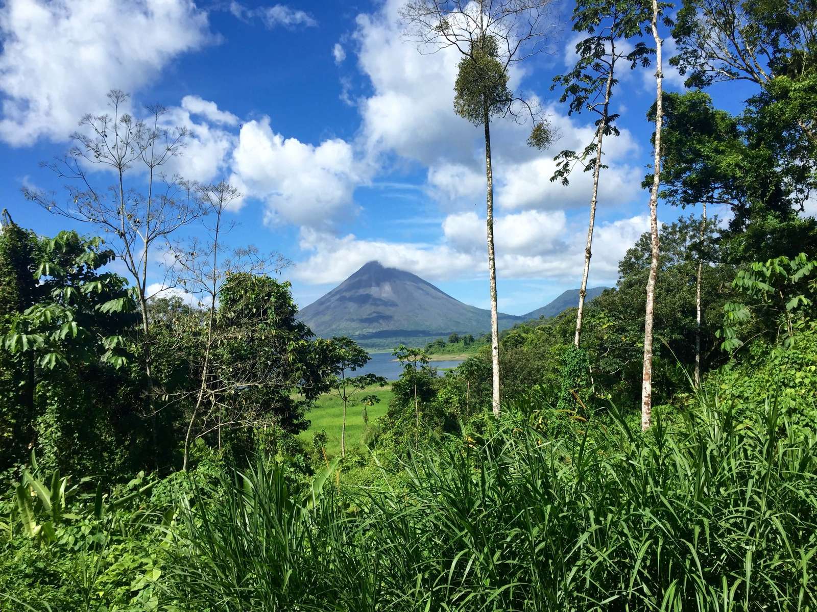 Czarujący wulkan w lesie deszczowym puzzle online