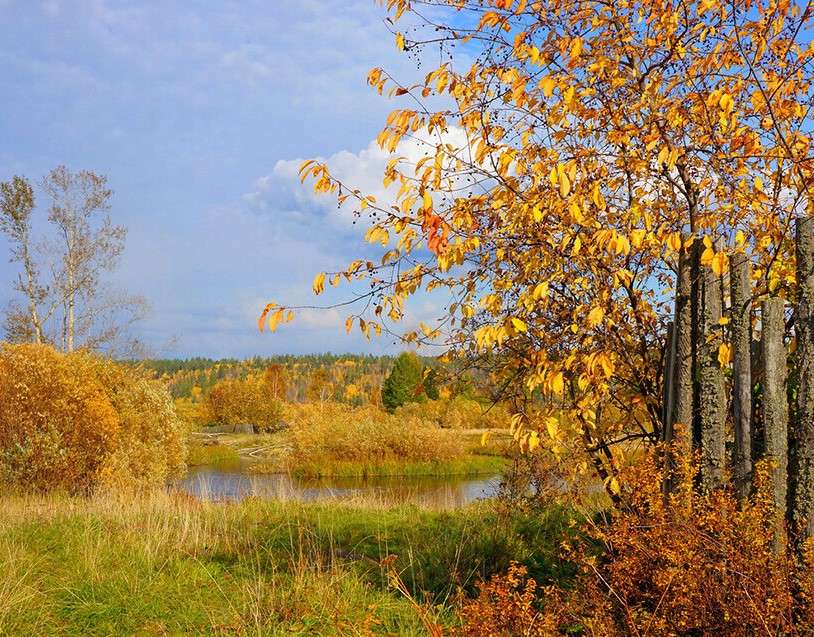 Uroki jesieni w naturze puzzle online