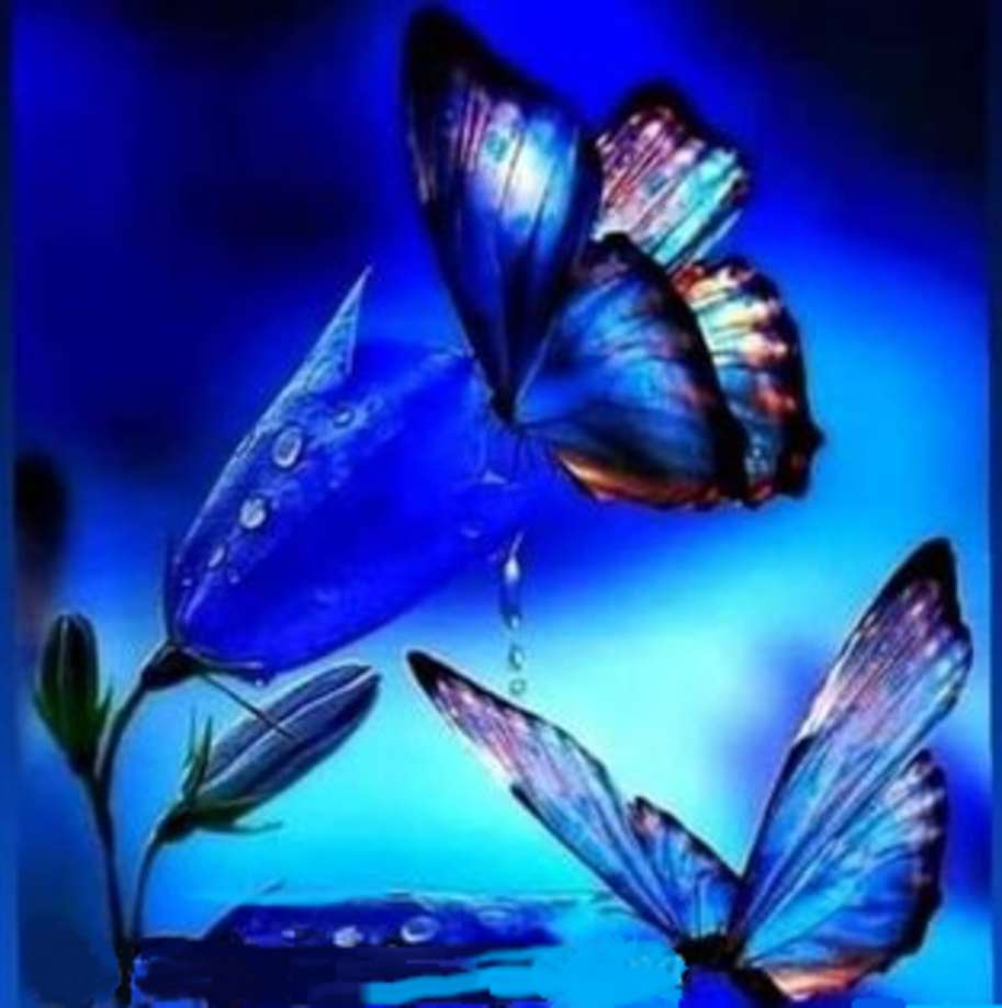 Lyoder wyglądający chrząszcz na niebieskim motylu puzzle online