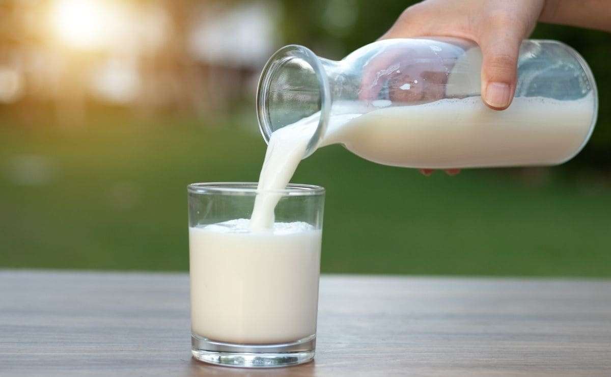 puzzle z mlekiem mlecznym puzzle online