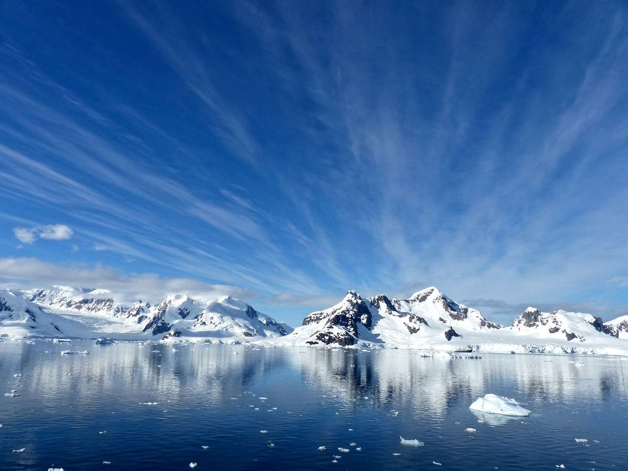 Antarktyda, Rajska Zatoka, Zimno puzzle online