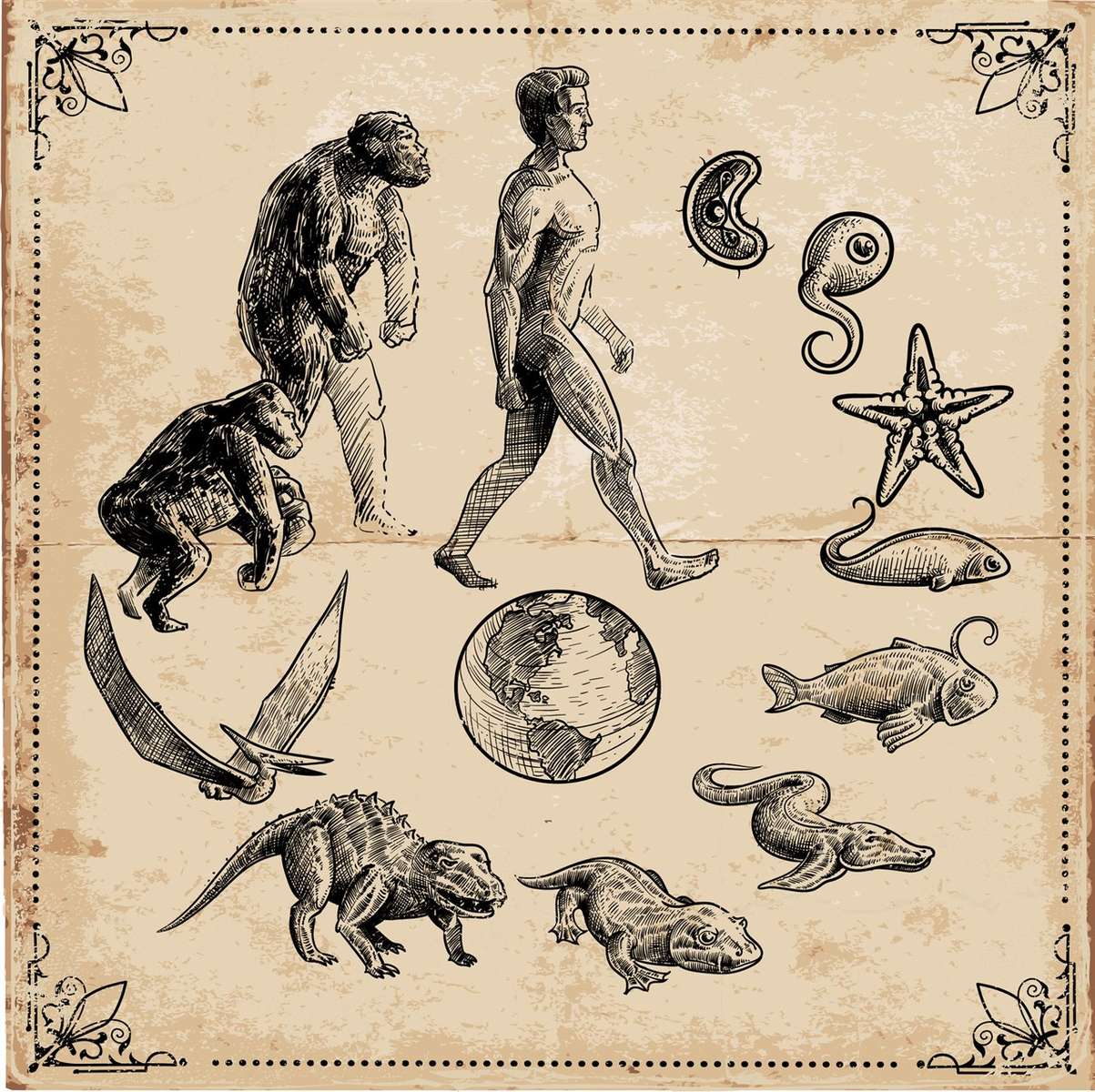 Teoria Darwina puzzle online