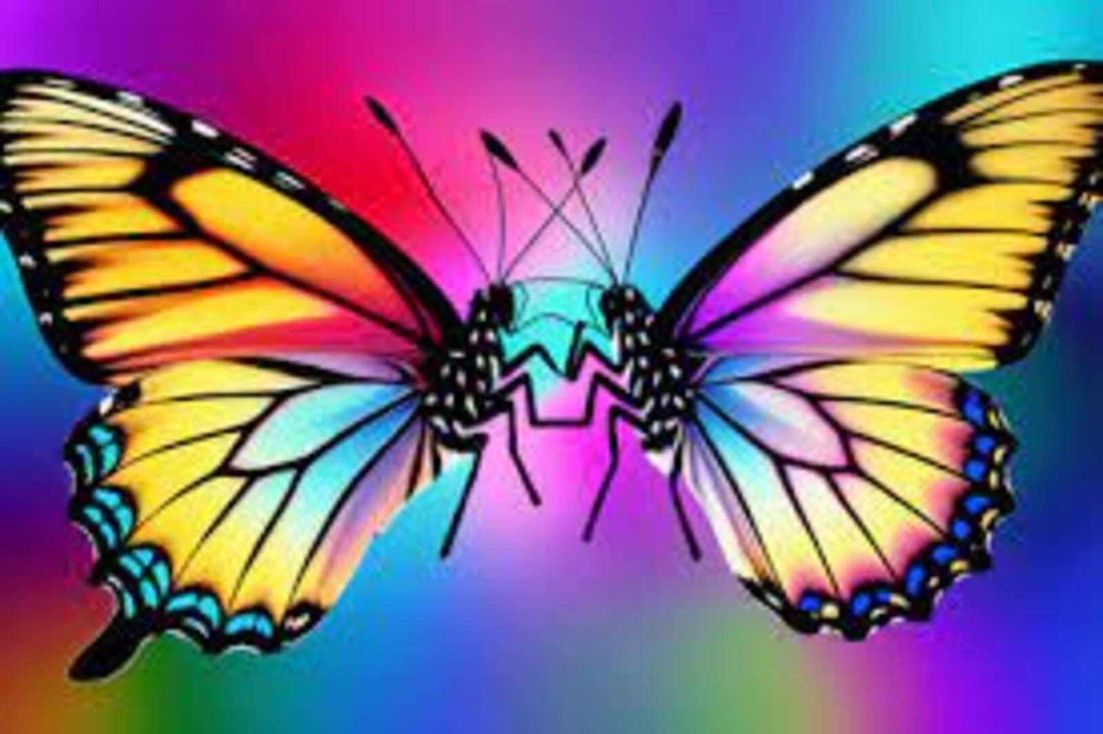 Chrząszcz Lyoder i jego motyl o niebieskich krawędziach puzzle online