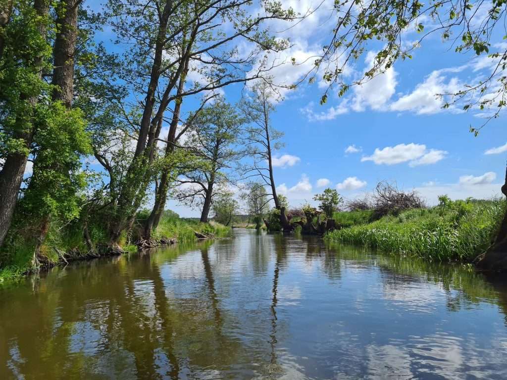 rzeka Wierzyca, Pomorze puzzle online
