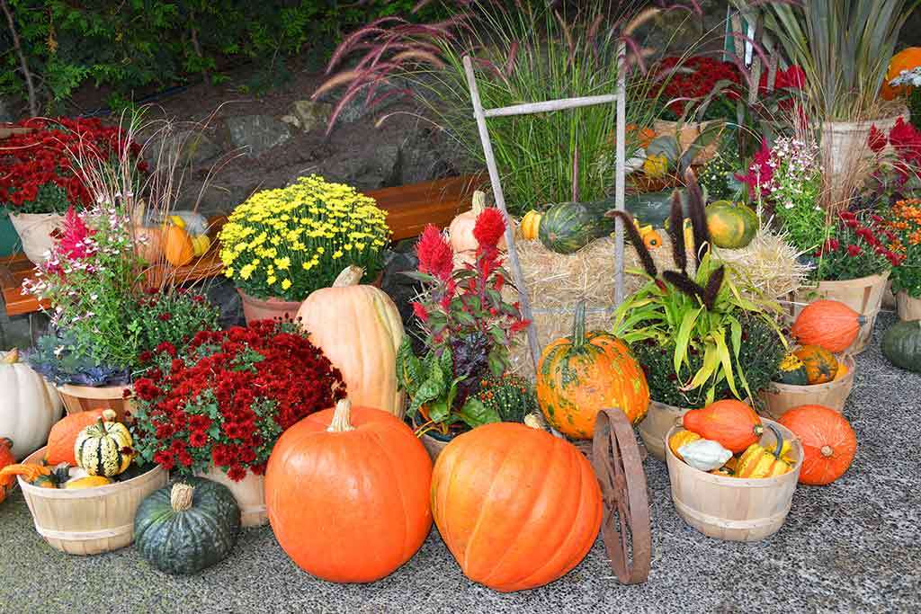 Jesienna dekoracja w ogrodzie puzzle online