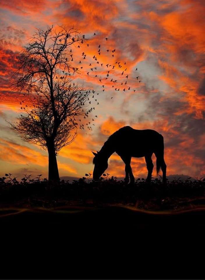 koń w chmurach zachodzącego słońca puzzle online