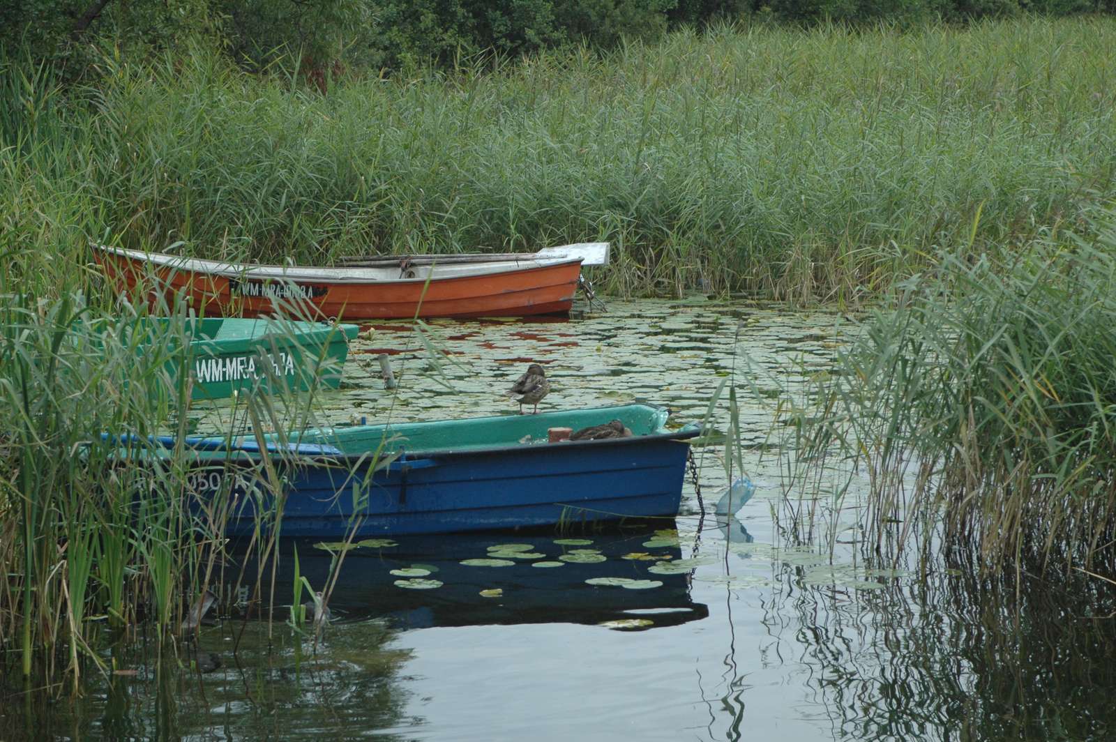 łodzie na jeziorze puzzle online