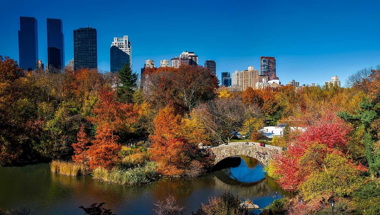 Central Park w Nowym Jorku puzzle online