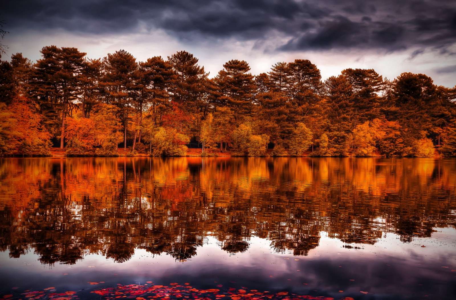 Jesienny las nad jeziorem puzzle online