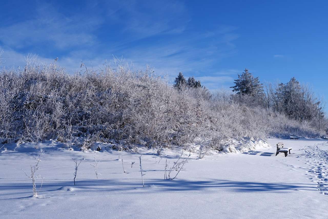 Zima, śnieg, krajobraz puzzle online