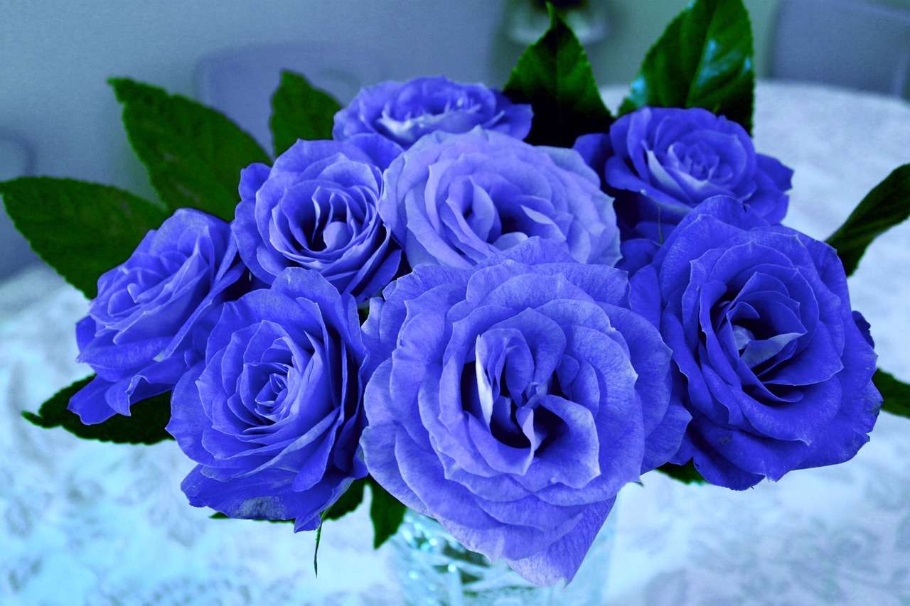 najpiękniejsza róża z pixabay puzzle online