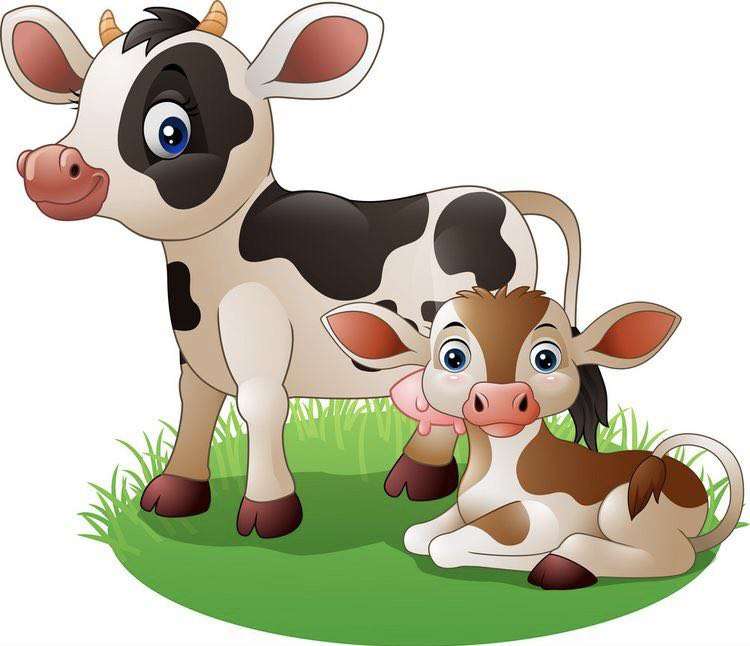 Rodzina krów puzzle online