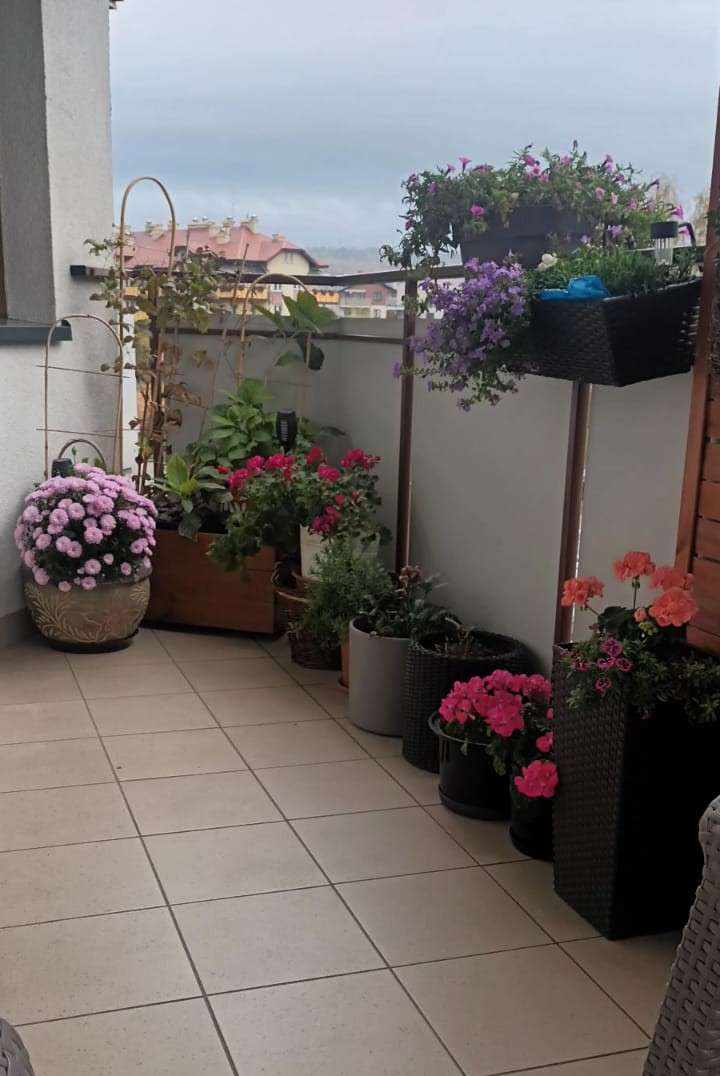 balkon pełen kwiatów puzzle online