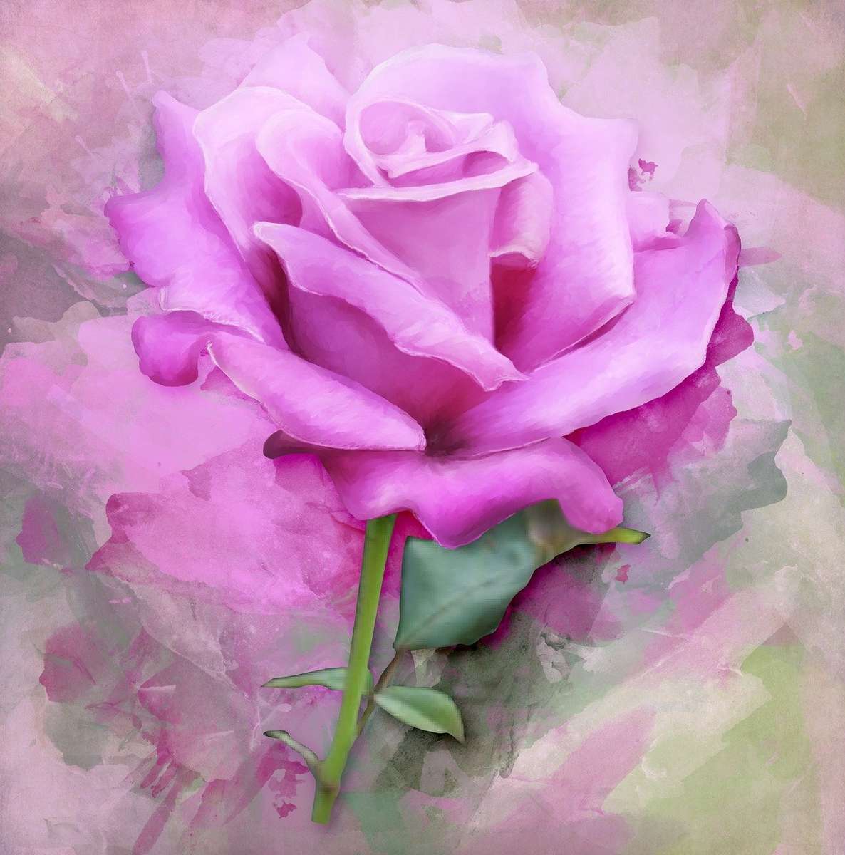 najpiękniejsza róża, ładna i piękna puzzle online