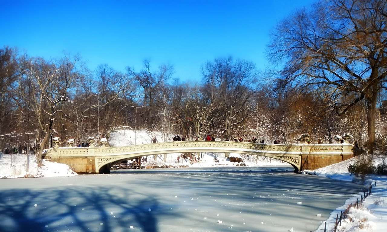 Central Park w Nowym Jorku puzzle online
