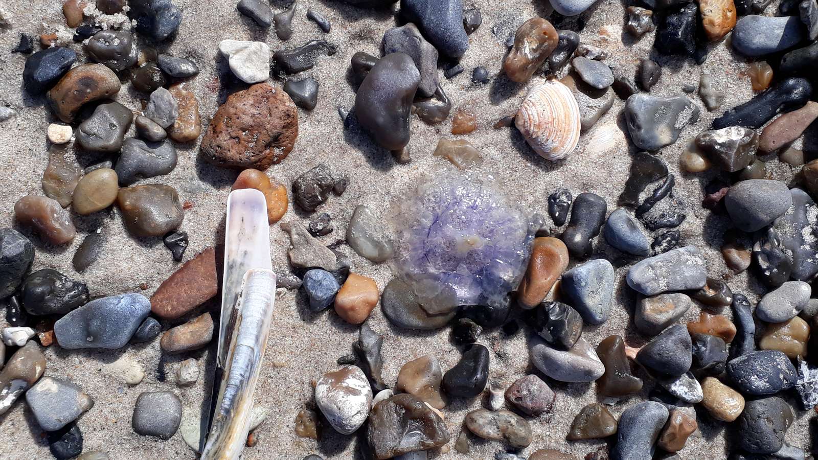 Kamienie na plaży puzzle online