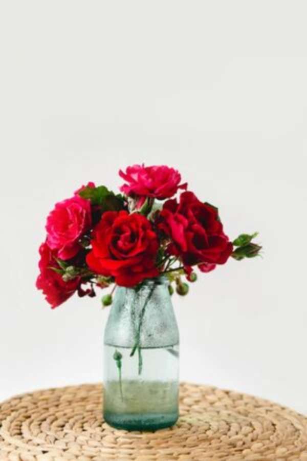 bardzo piękne róże, piękne puzzle online