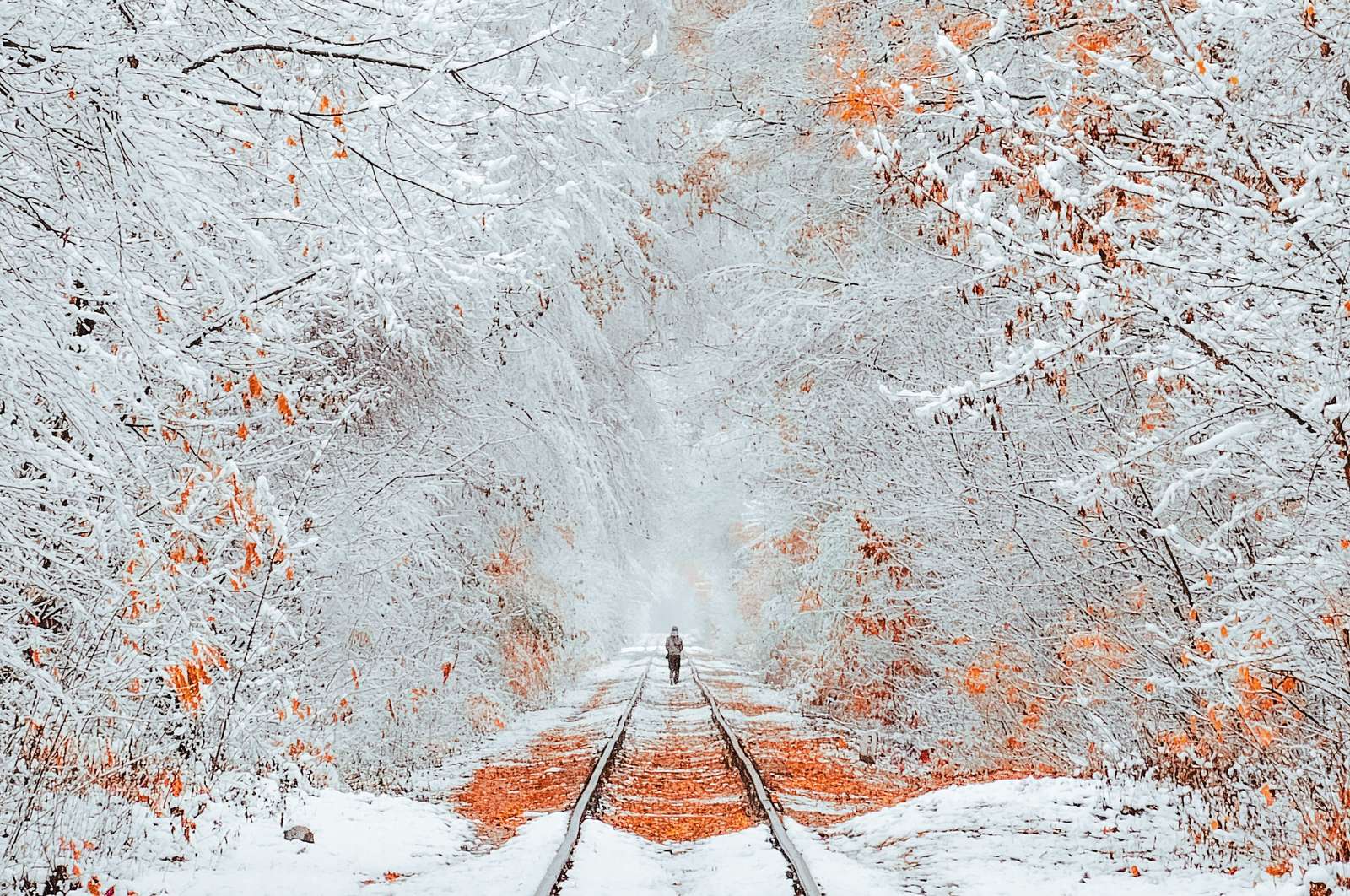 Zima na torach kolejowych puzzle online