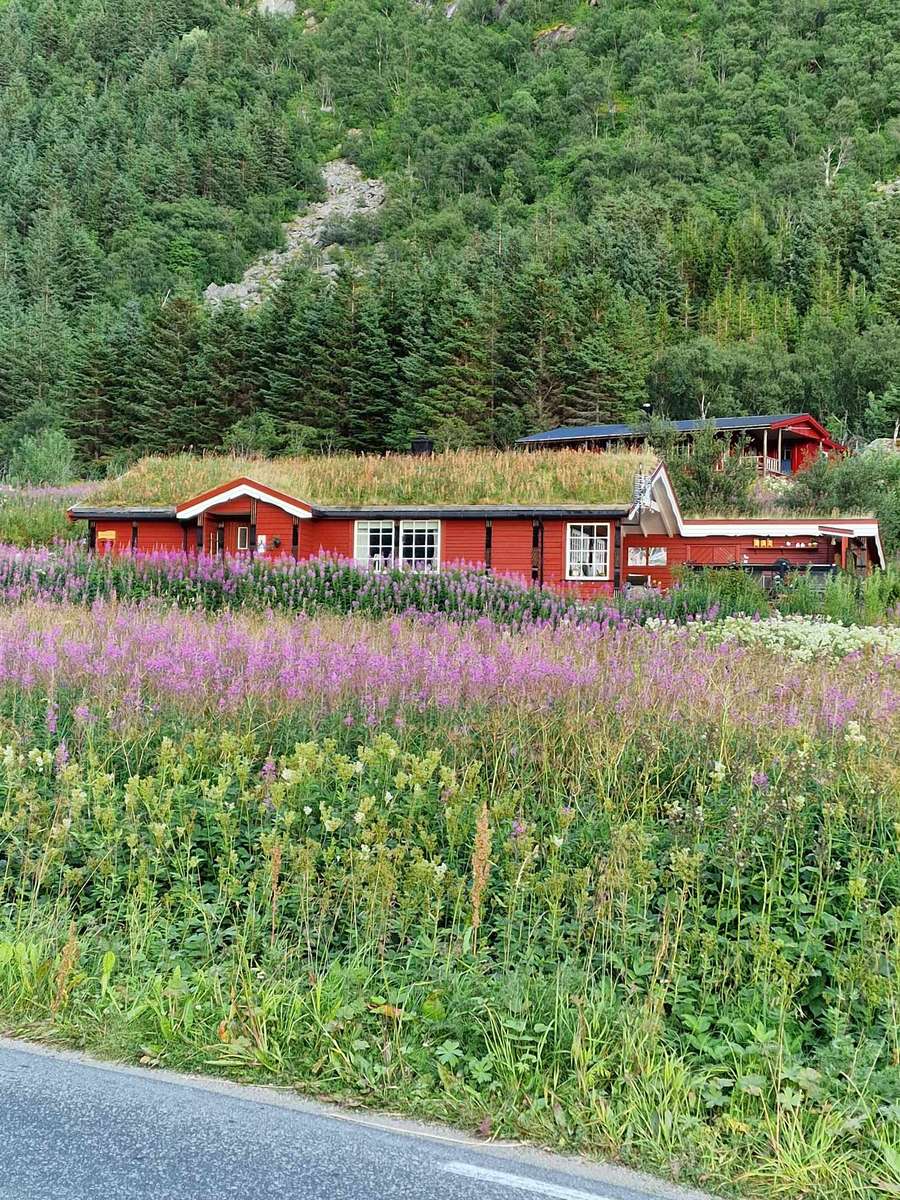 Dom w kwiatach Rorvika Norwegia puzzle online