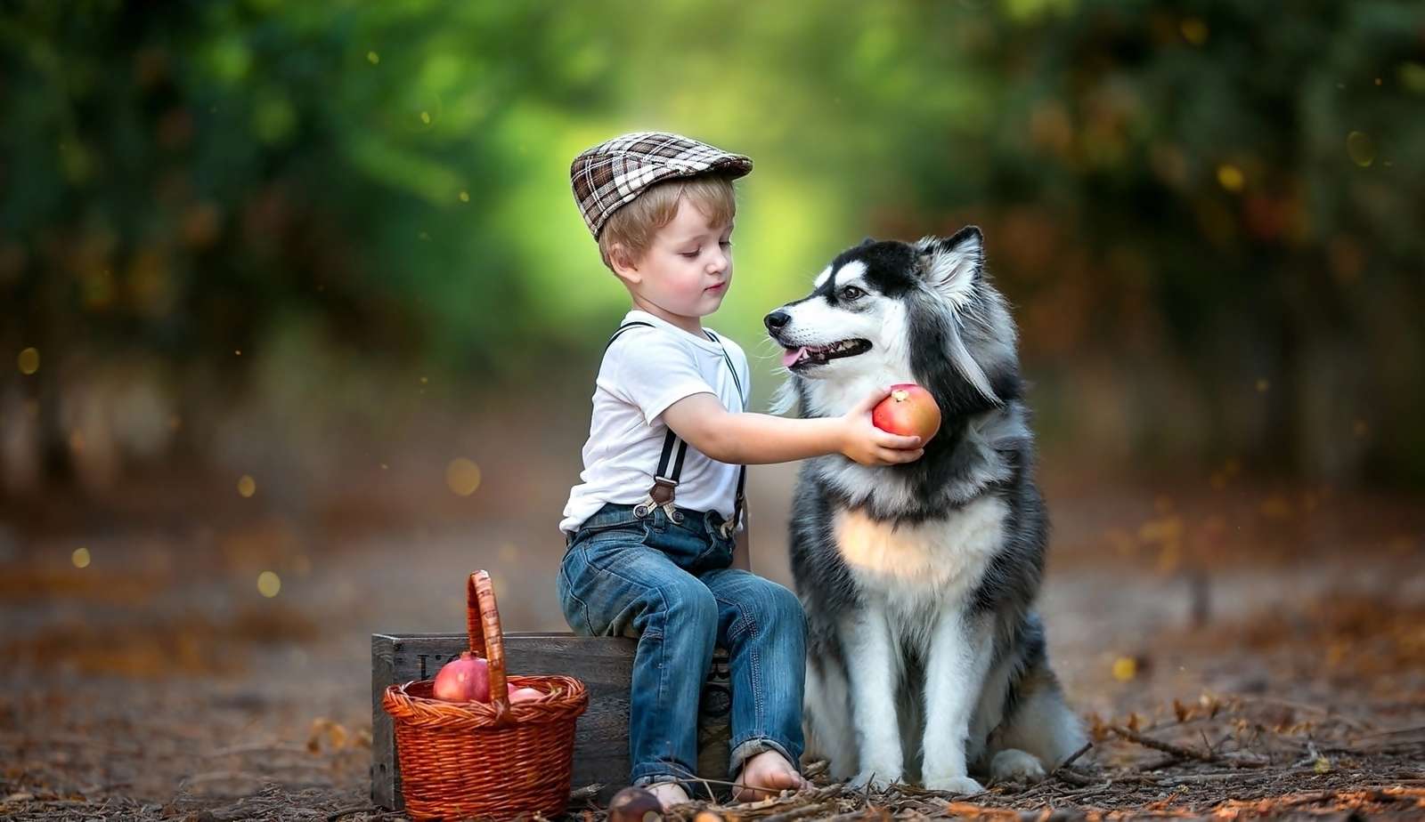 chlopczyk i jego pies siberian husky puzzle online
