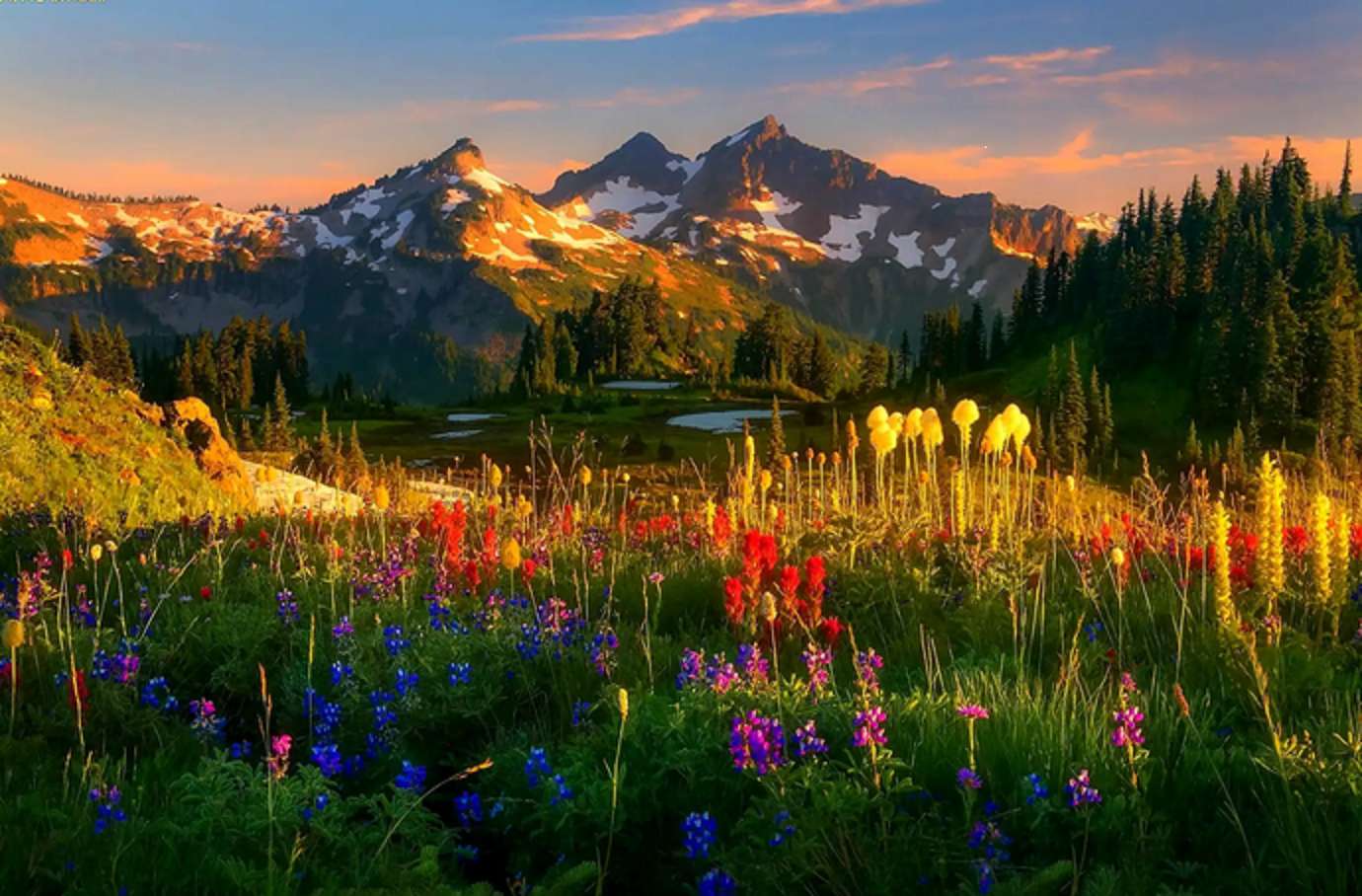 łąka w górach w zachodzie słońca puzzle online