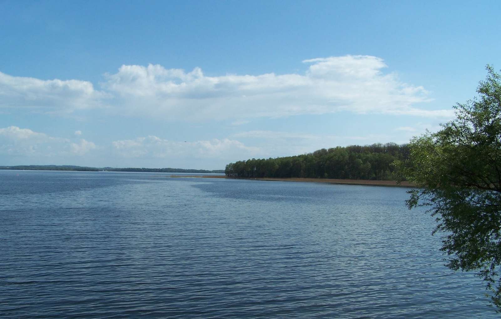 Jezioro Dargin, Pojezierze Mazurskie puzzle online