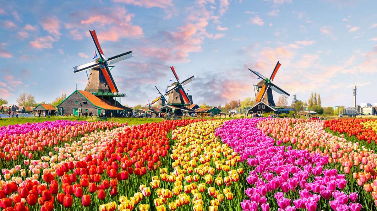 Holandia #31 puzzle online