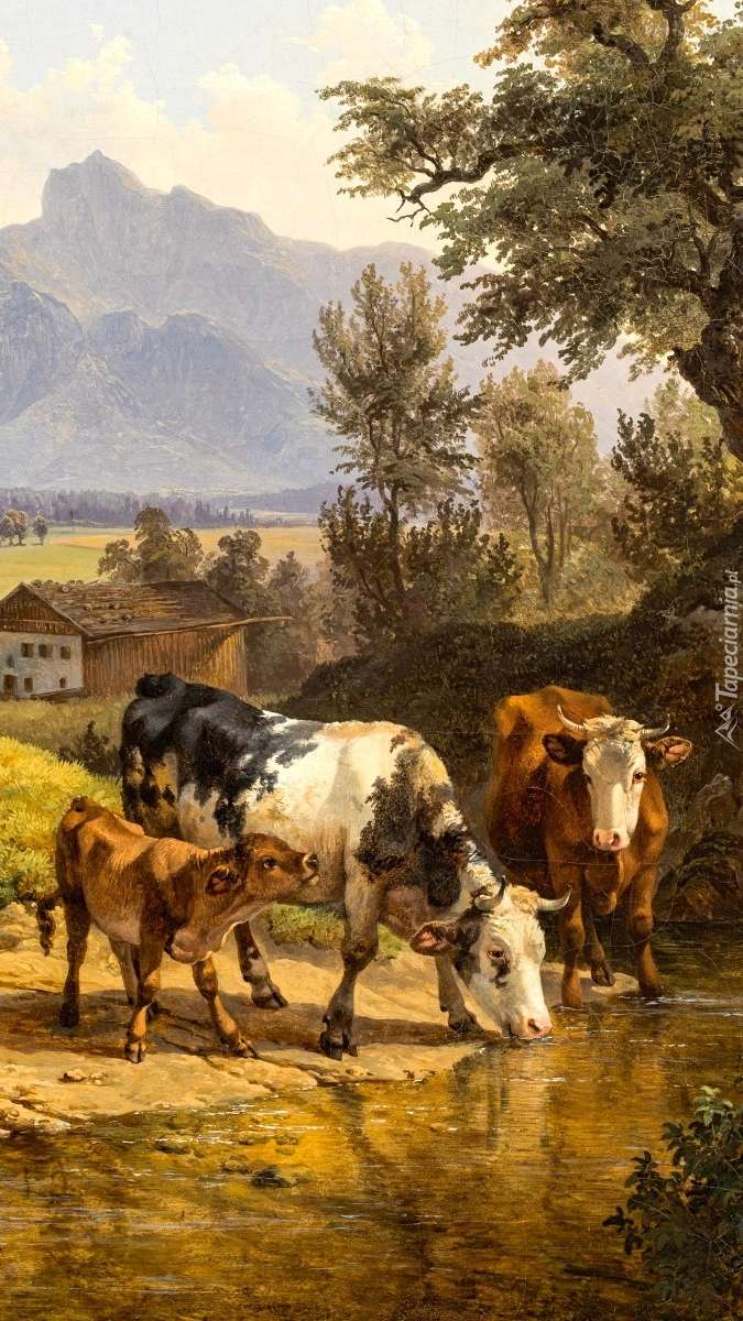 Krowy pojące się puzzle online