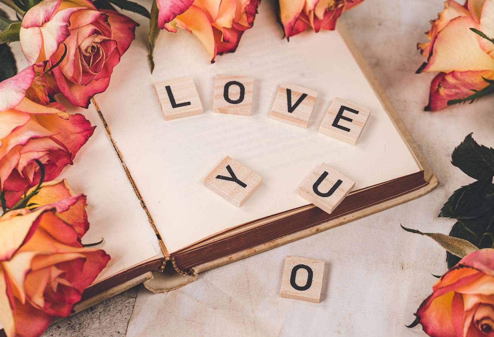 Róże i klocki z napisem love you na książce puzzle online