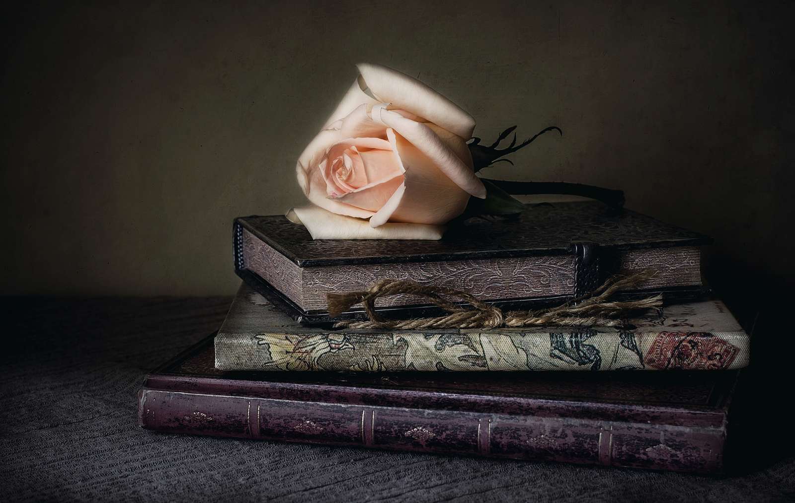 Jasnoróżowa róża na książkach puzzle online