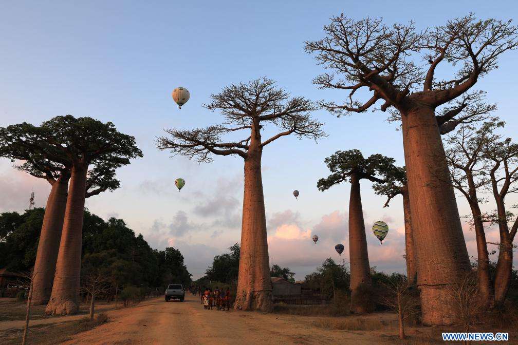 Balony na Madagaskarze puzzle online