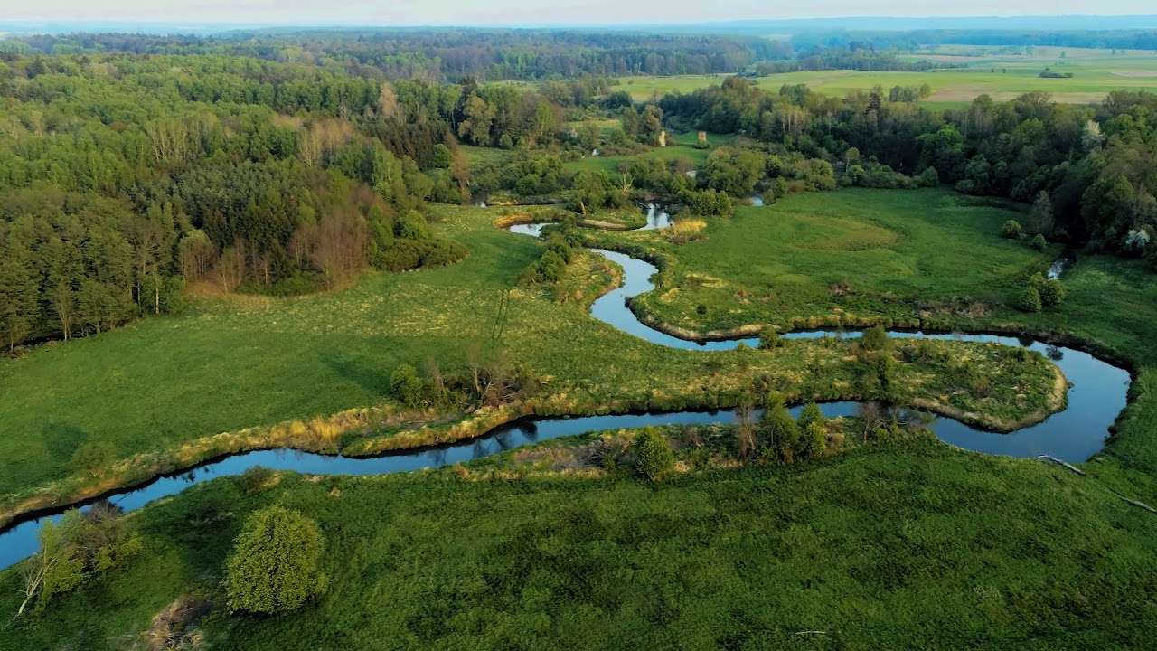 Meandry rzeki Pasłęki puzzle online