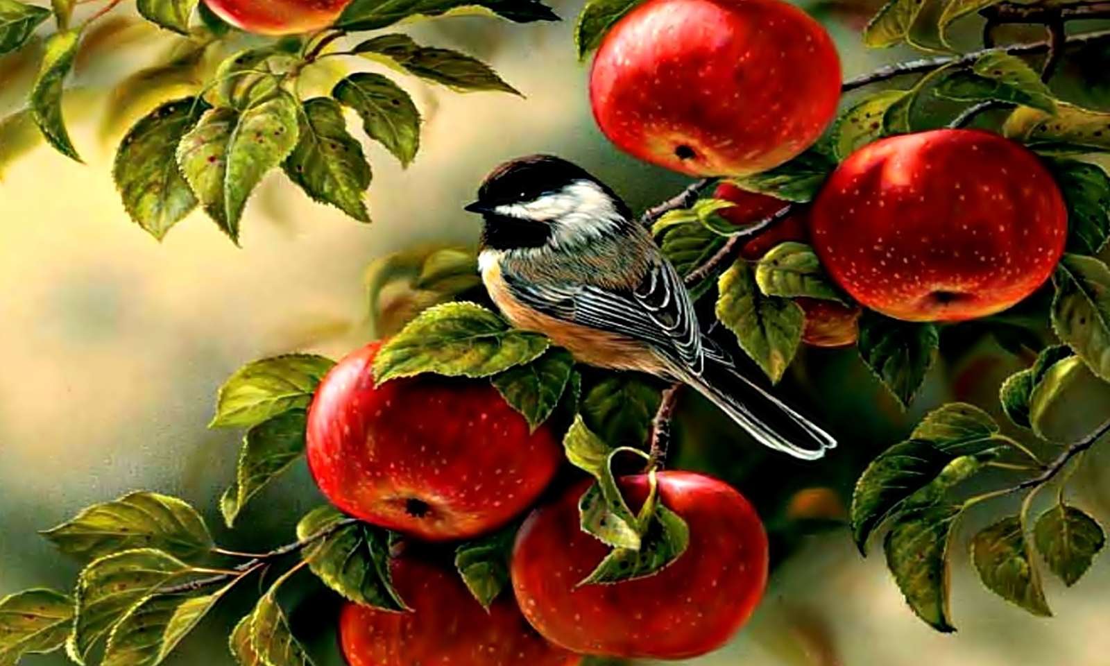 Ptaszek na gałęzi jabłoni puzzle online