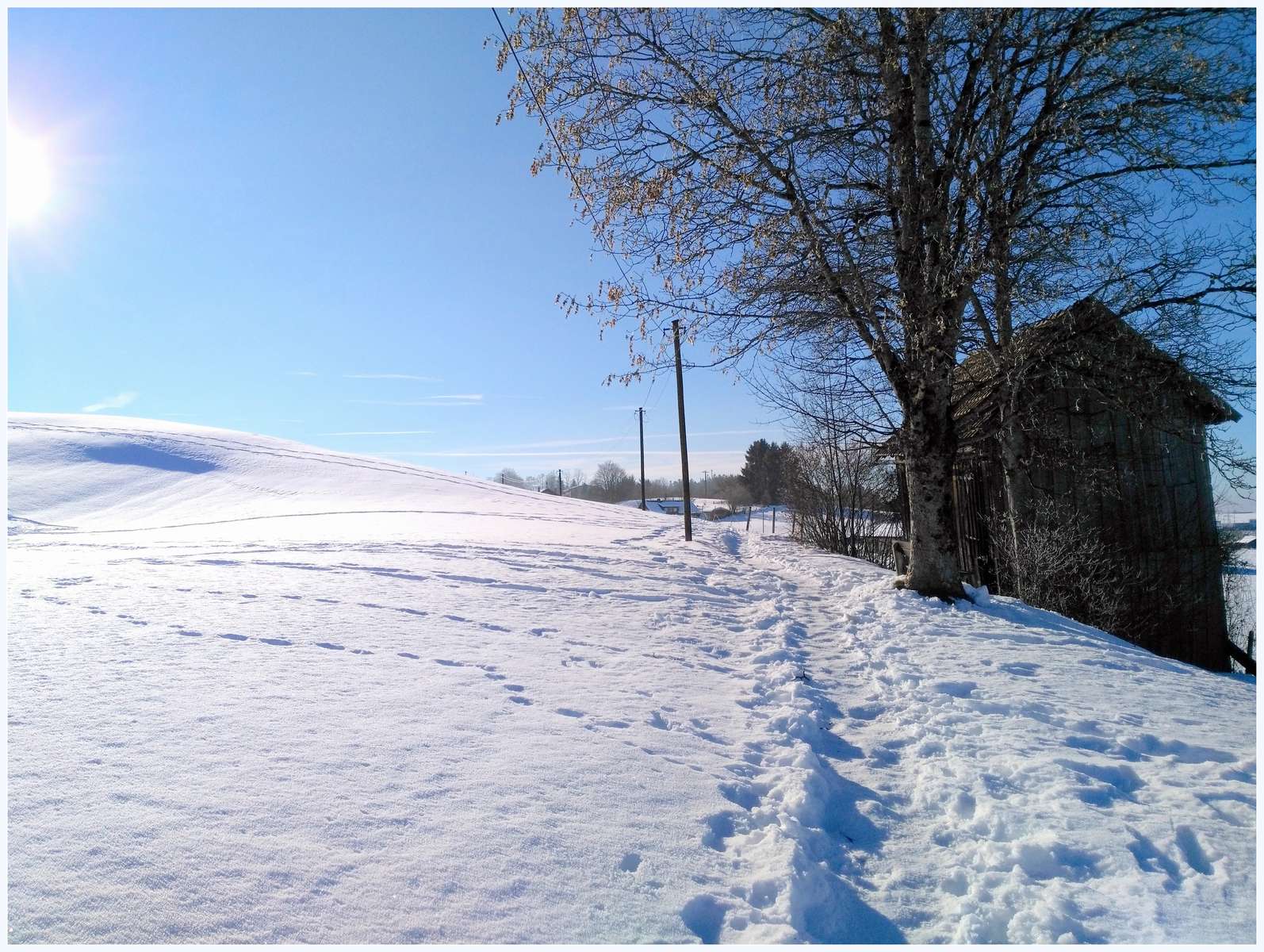 Przez śnieg w zachodnim Allgäu puzzle online