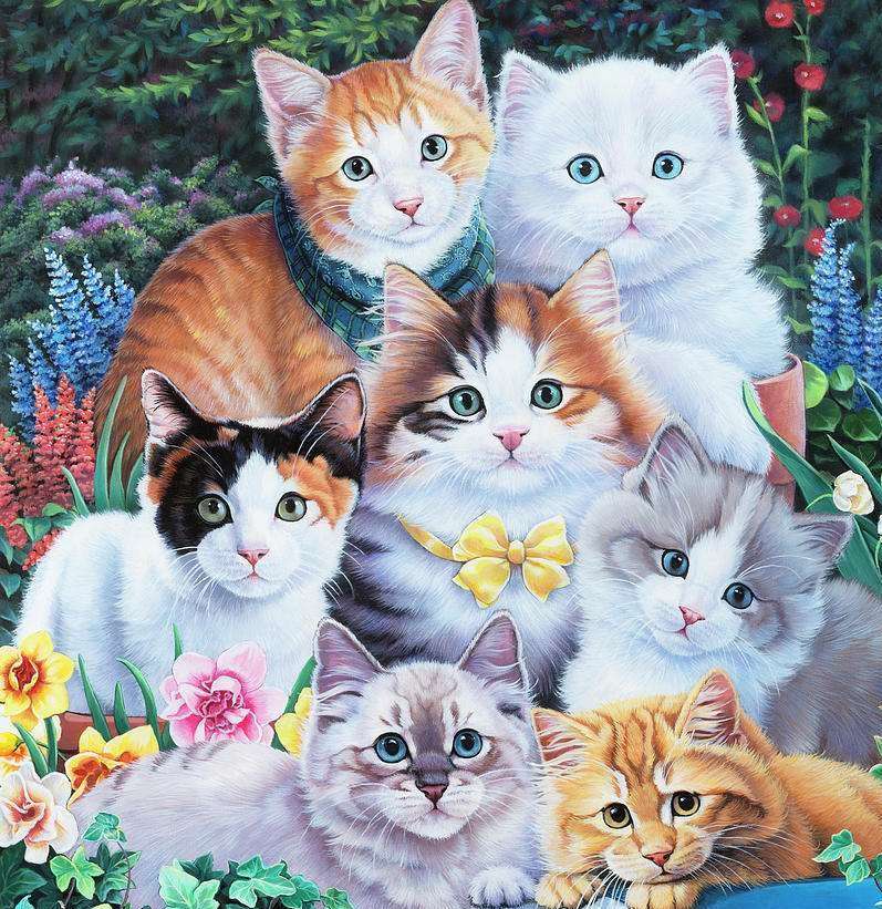 Zdjęcie kotków puzzle online