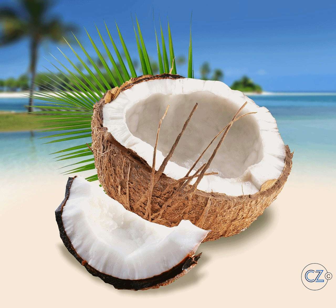 Kokosy na plaży puzzle online