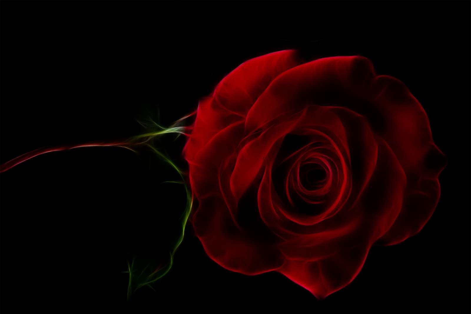 Krwawa Róża puzzle online