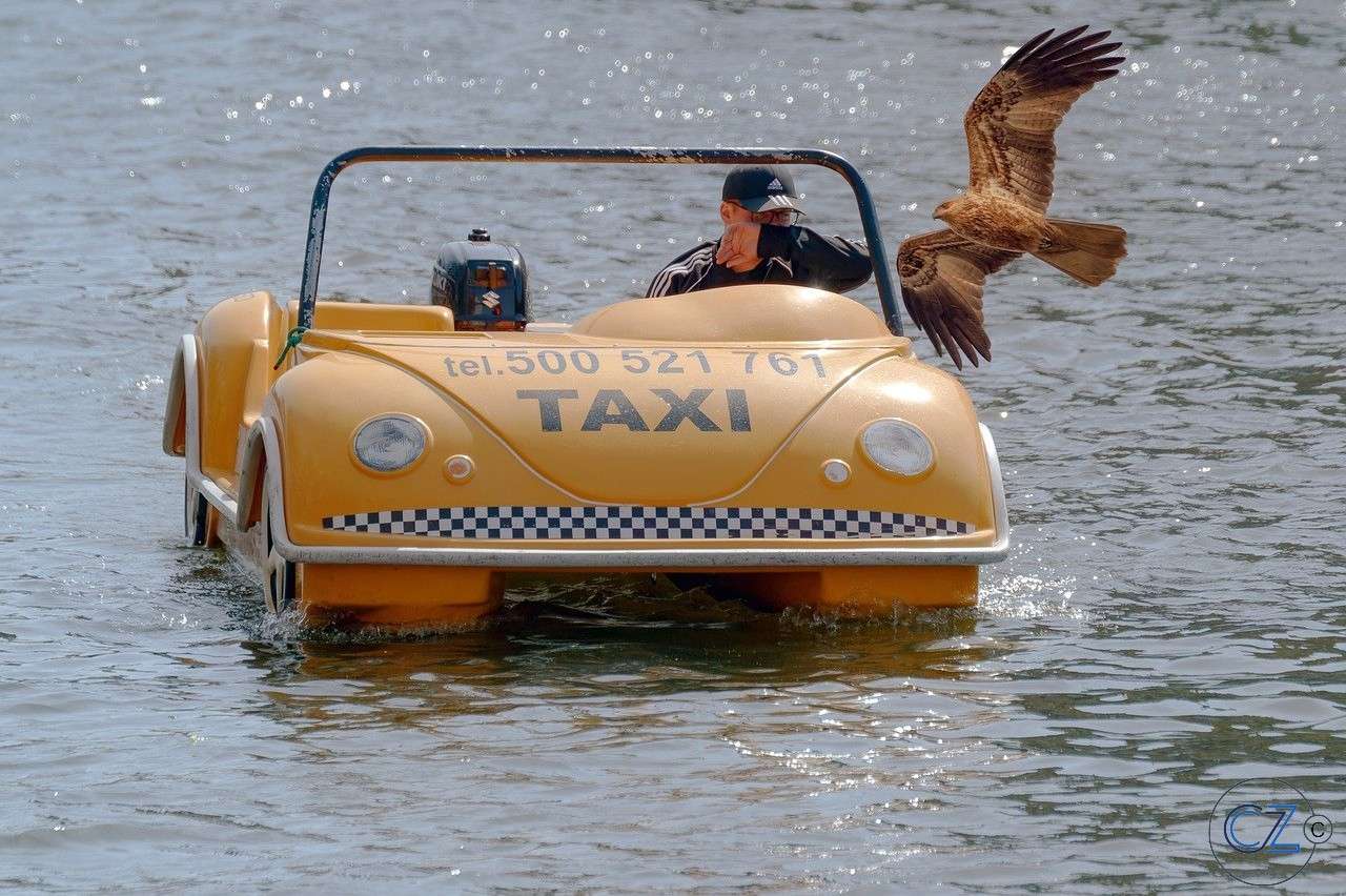 Taksówka wodna, łódź puzzle online