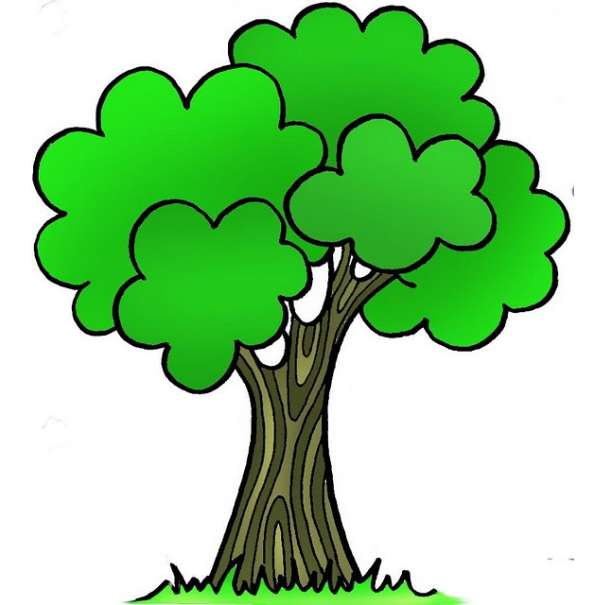 drzewo puzzle online