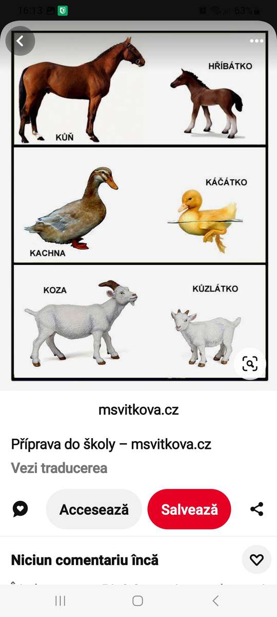 Zwierzęta domowe puzzle online