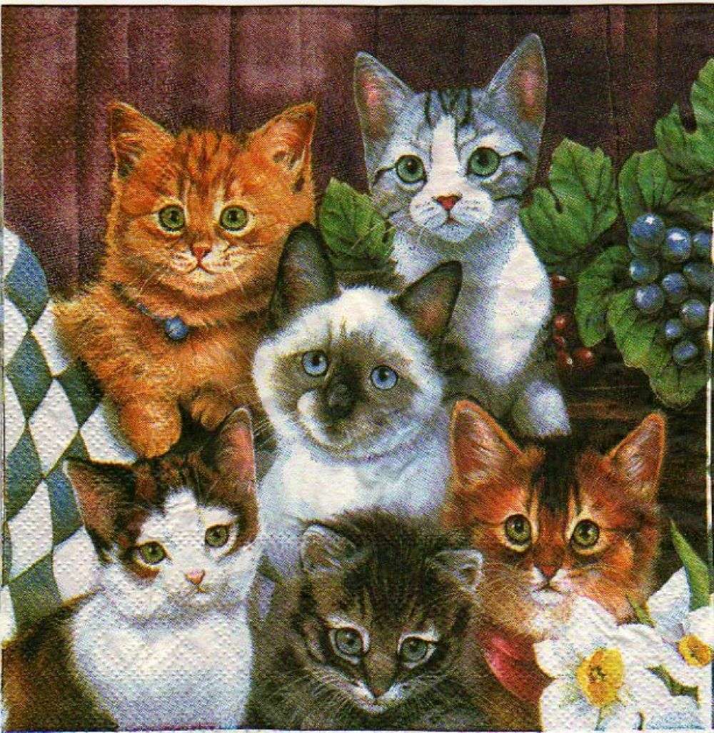 Różne kolory kotków puzzle online