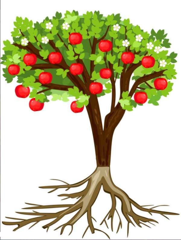 дърво ябълка puzzle online