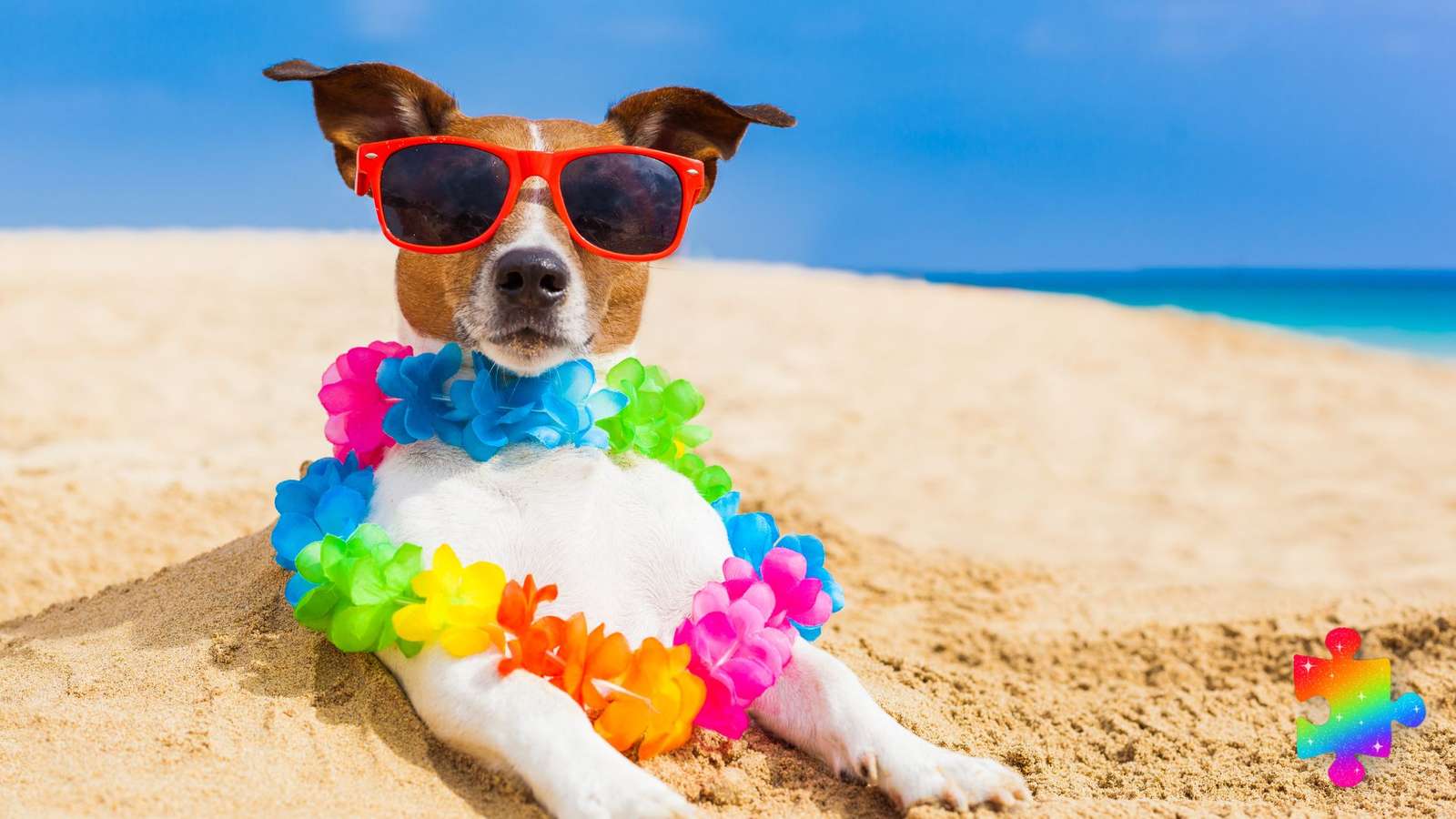 Plażowy pies puzzle online