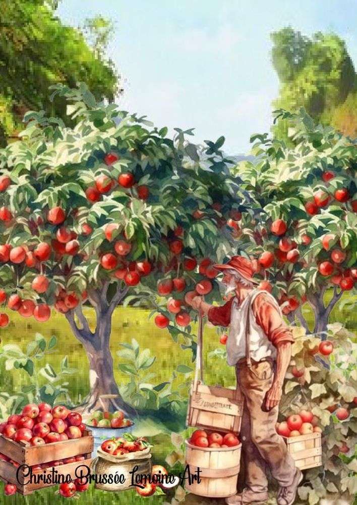 zbieranie jabłek puzzle online
